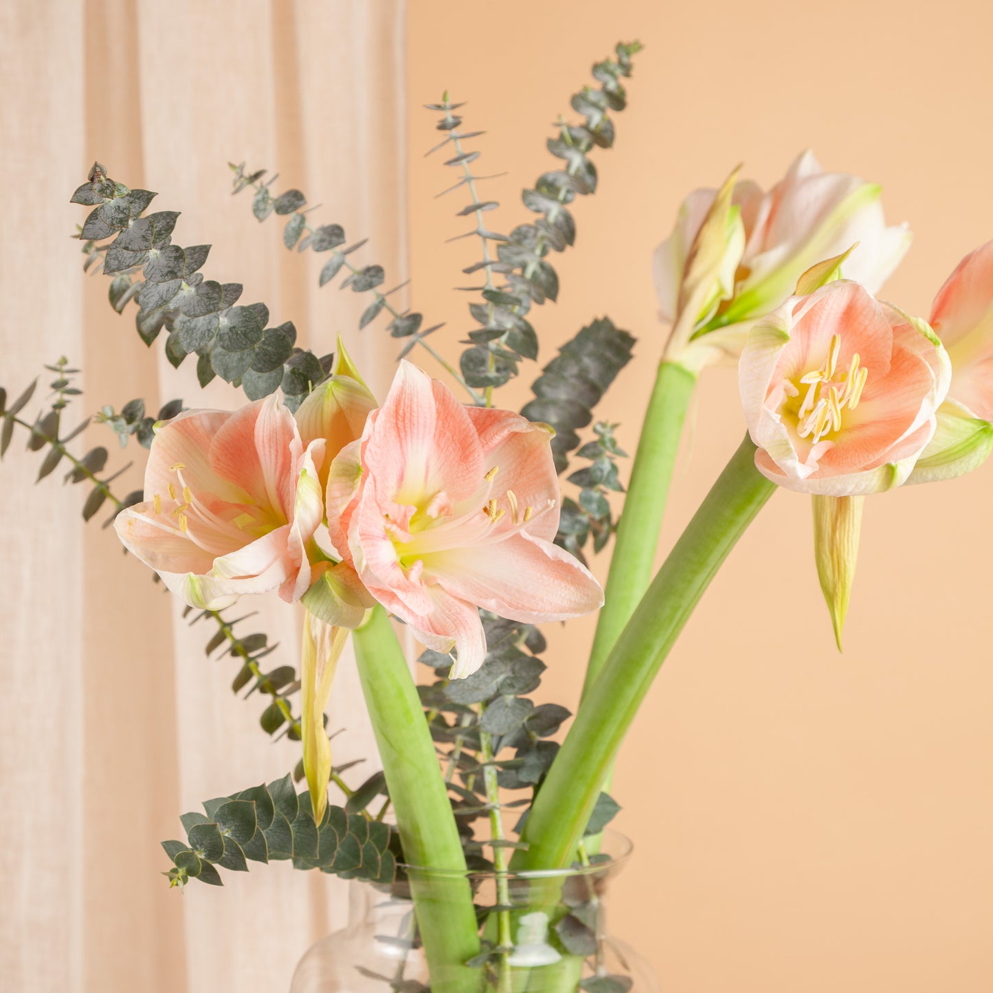 Boeket Mix Amaryllis