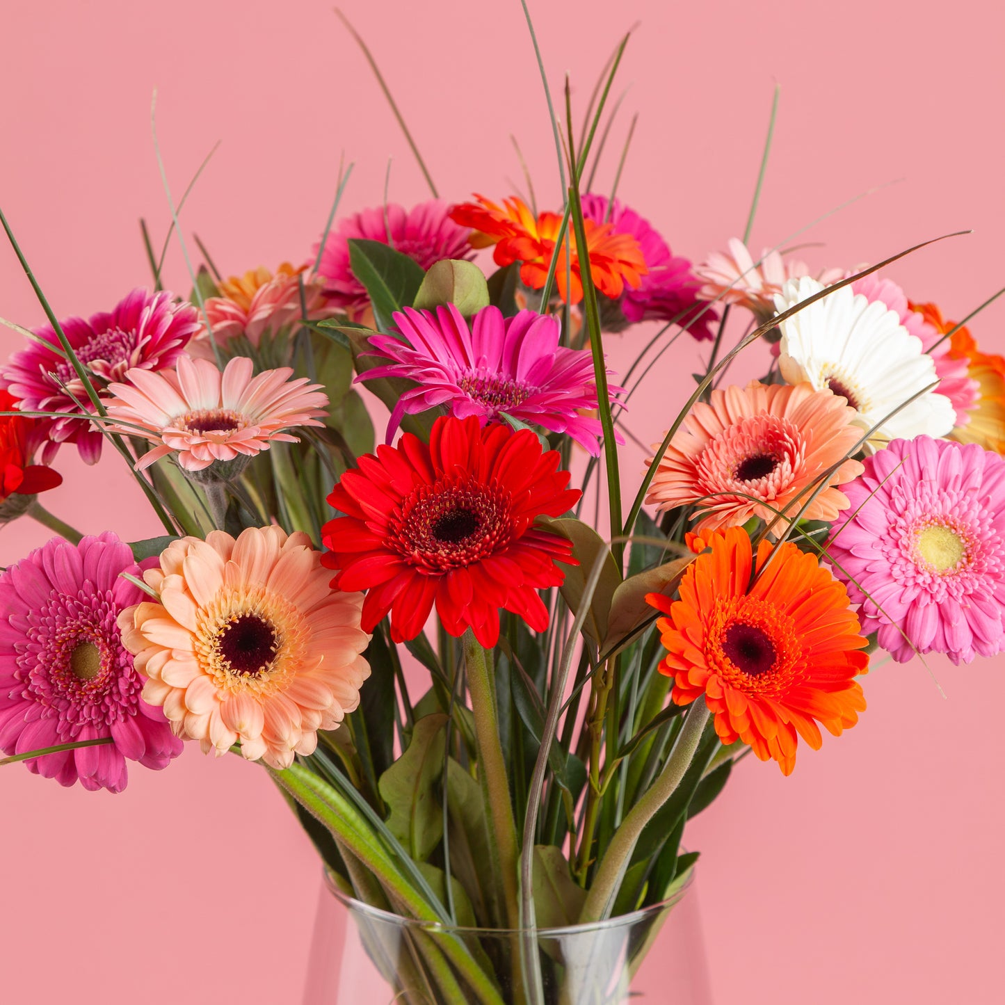 Boeket Gerbera