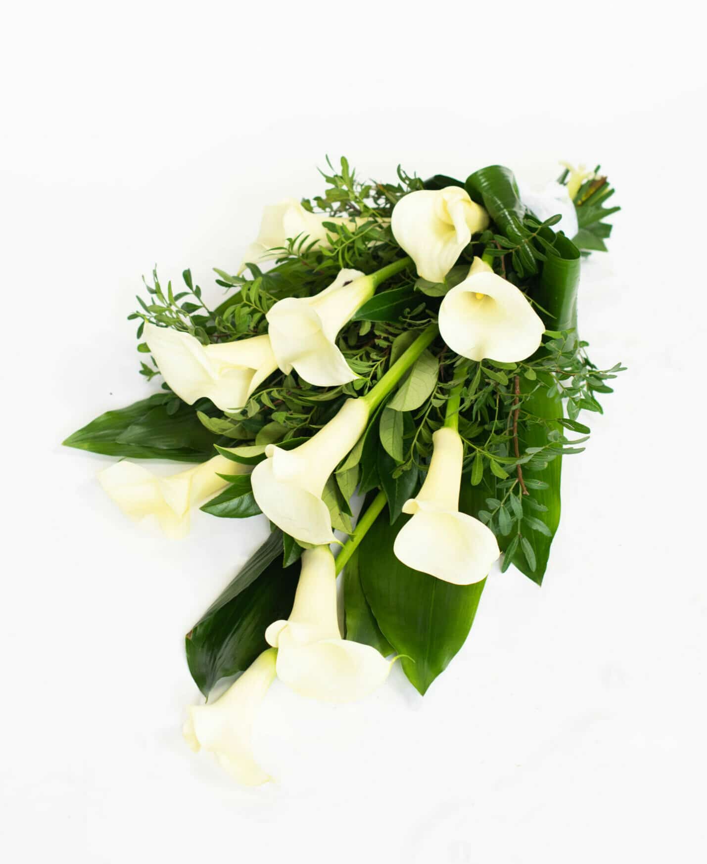 3. Legboeket Calla