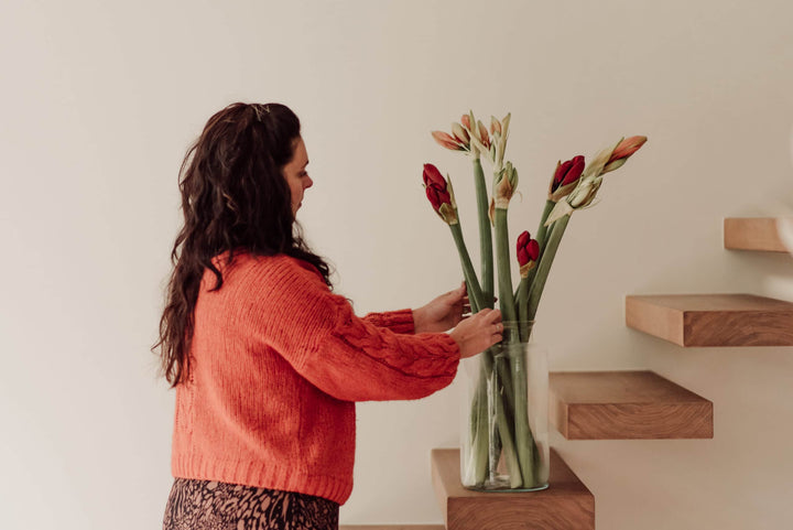 Amaryllis – dé winterbloem bij uitstek