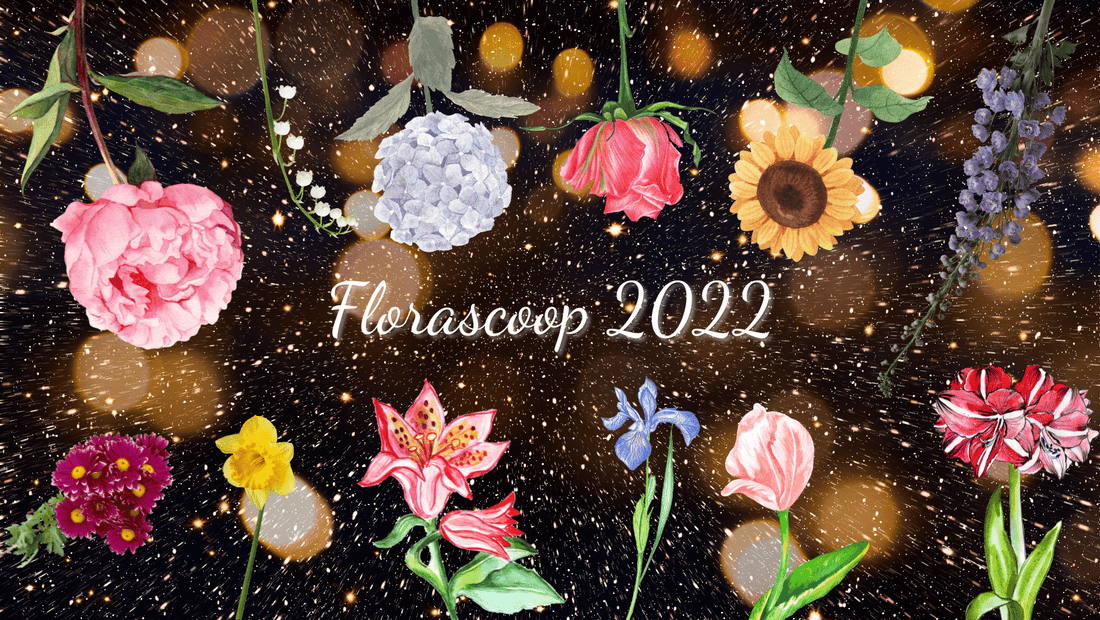 Florascoop 2022 - dit is jouw bloem!