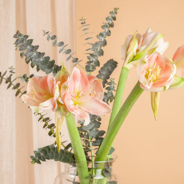 Boeket Mix Amaryllis