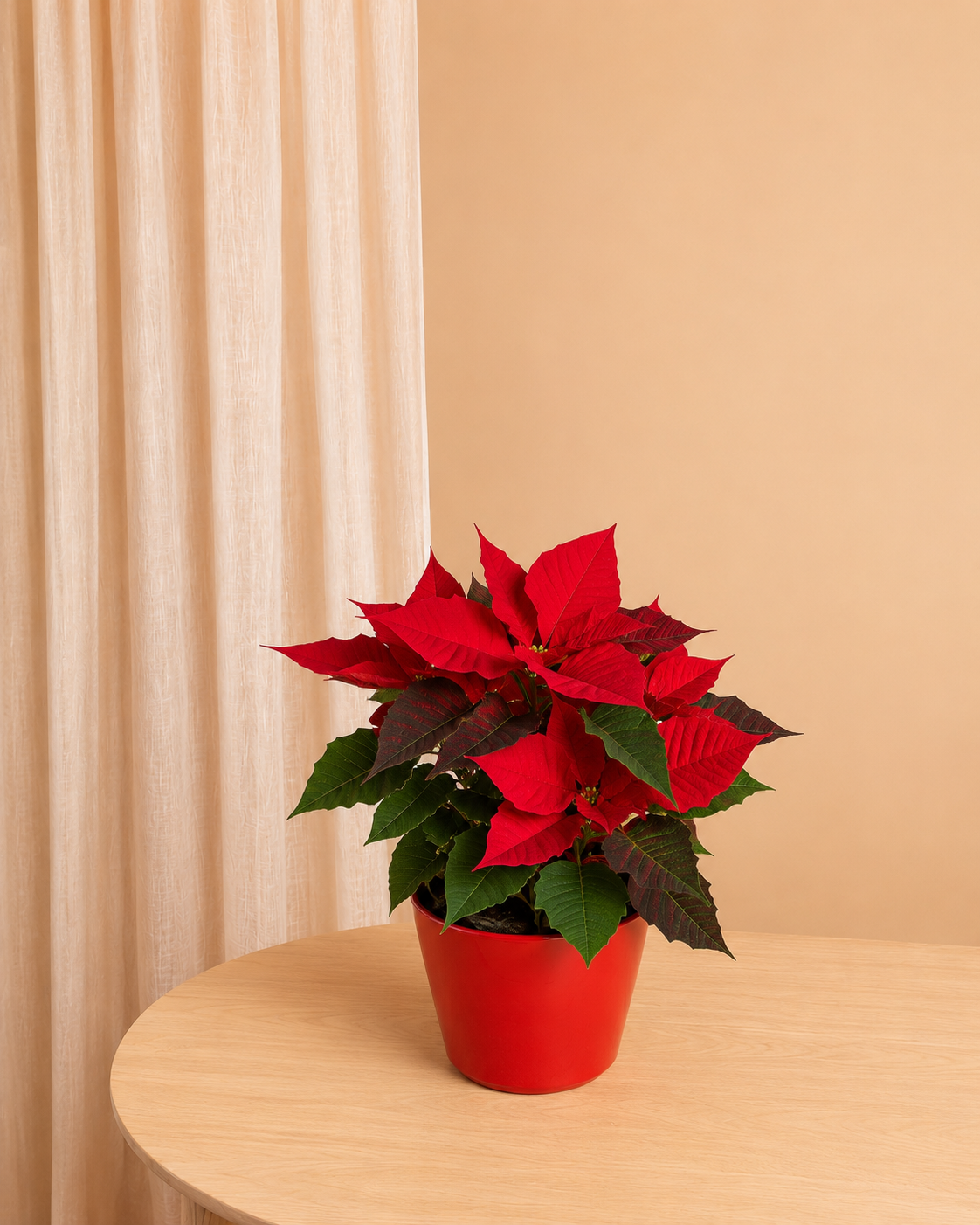 Kleine kerstster in sierpot