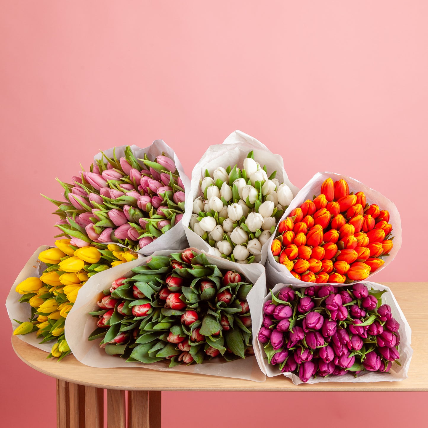 Promo Tulpen