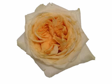 Boeket Victoria Peach