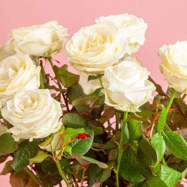 Boeket Witte Rozen
