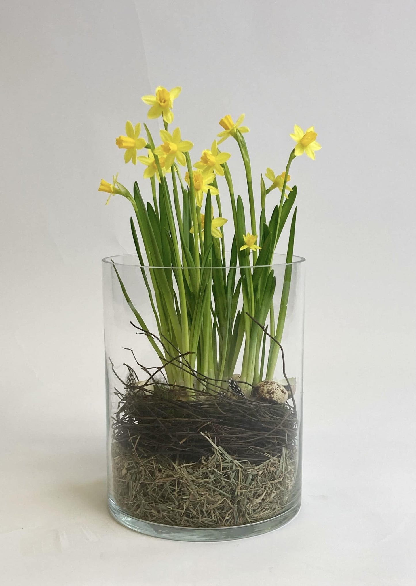 Narcissen, tête à tête op z'n Paasbest