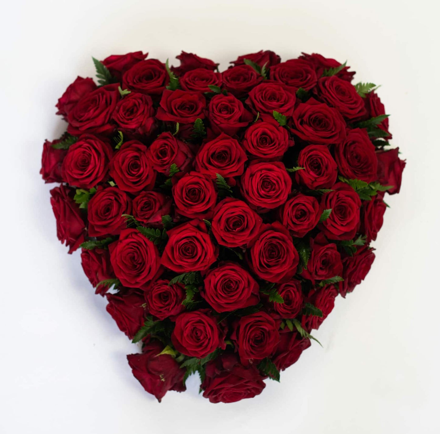 24. Rozenhart Rood