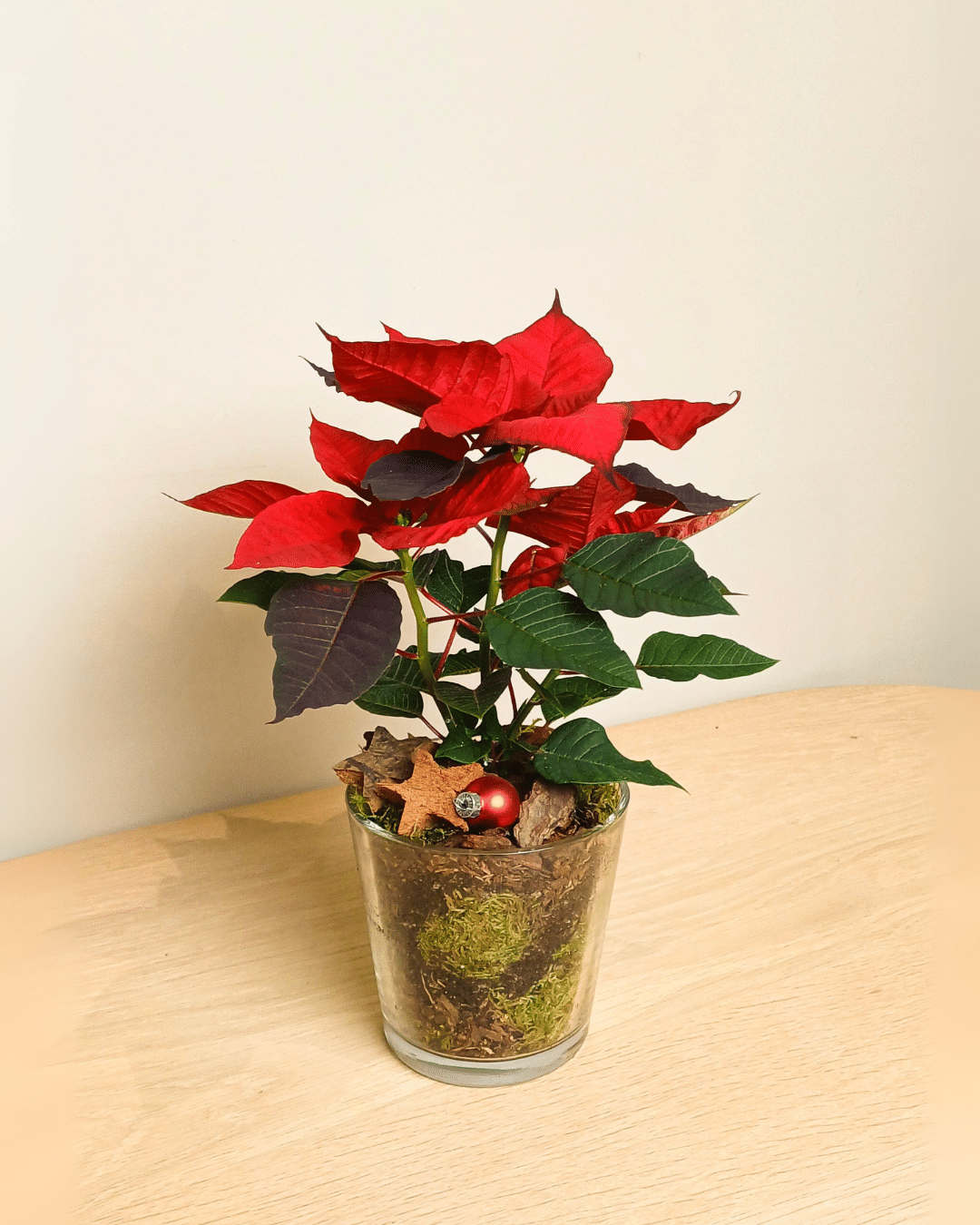 Kleine kerstster in glas