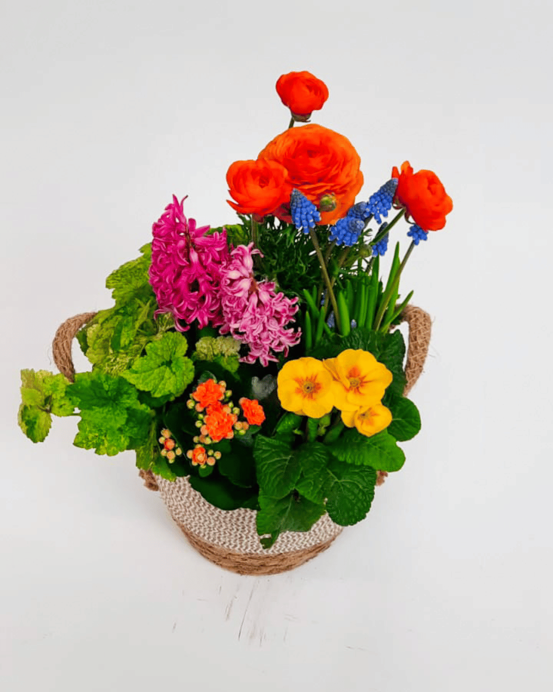 Plantencoupe Mix
