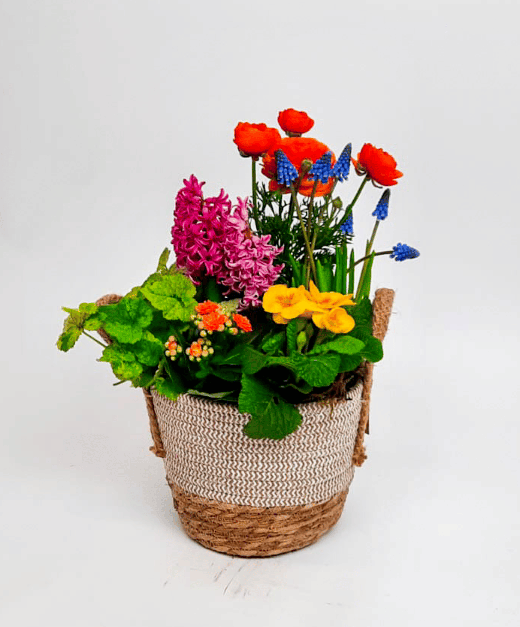 Plantencoupe Mix