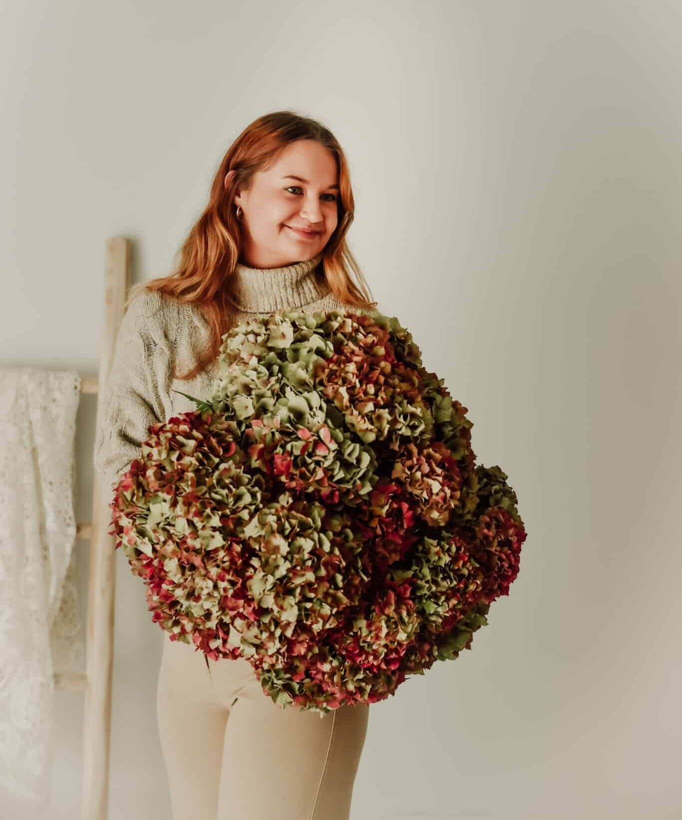 Promo Franse Hortensia
