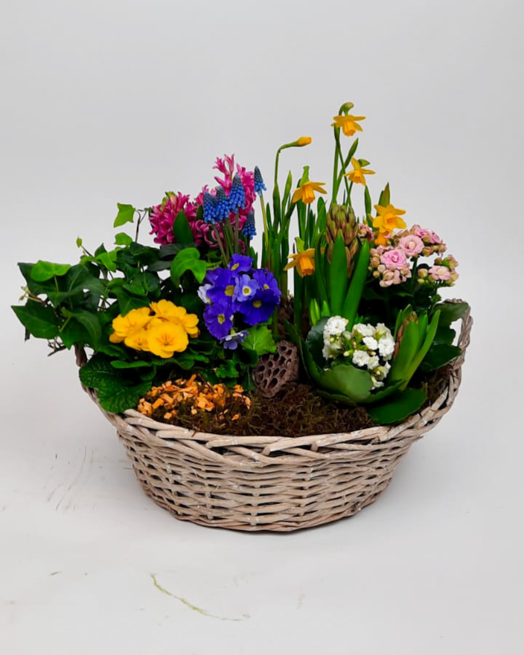 Voorjaars plantencoupe